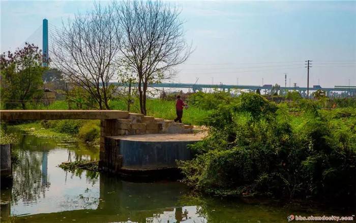 0101e20200311092149697977.jpg 9.jpg