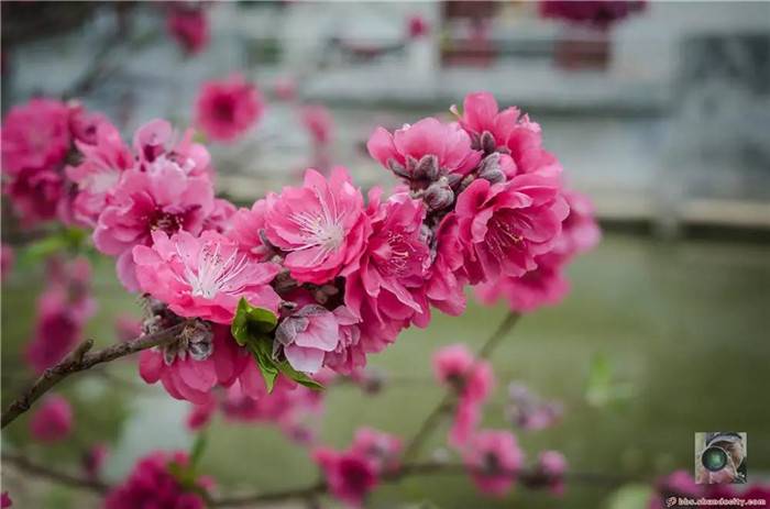 0156220200311092223746245.jpg 11.jpg