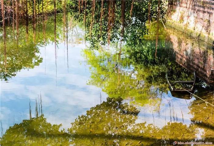 021a320200311092126299951.jpg 5.jpg