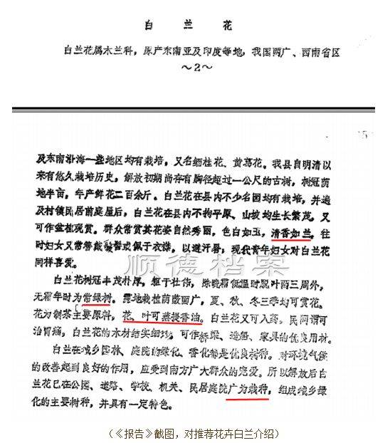 07cbb20200309092701623375.jpg 推荐白兰的报告截图.jpg