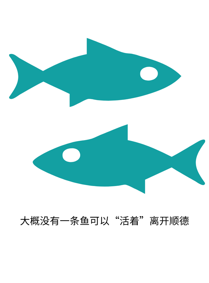 魚兒.png