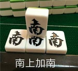 南山加南.jpg