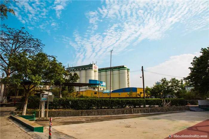 182a420200311092410107731.jpg 24.jpg