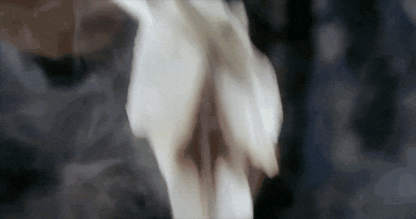 4.gif