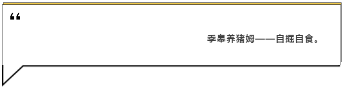 俗语7.png