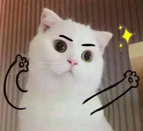 29f1920200304102219626849.jpg u=2676559382,3341642246&fm=26&gp=0.jpg