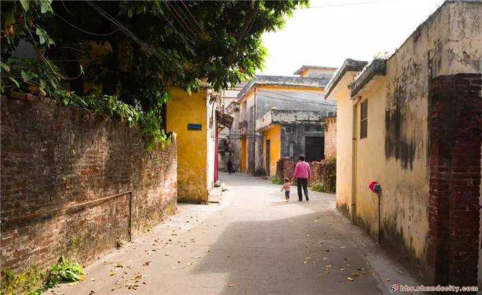 2c8c320200311092234597512.jpg 13.jpg