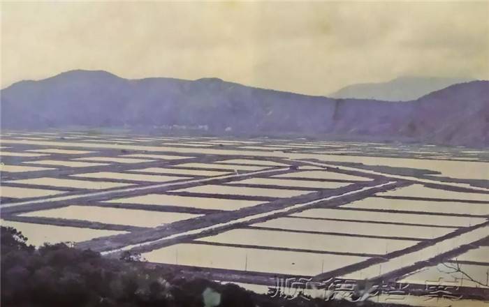 中心沟桑基鱼塘_副本.jpg
