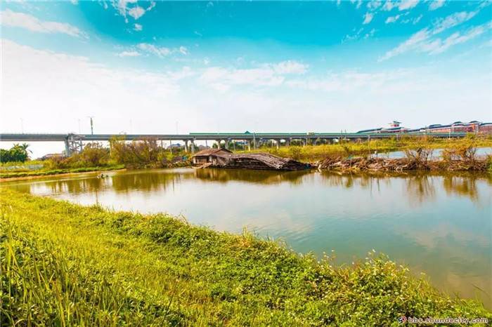 3aff520200311092133316347.jpg 7.jpg