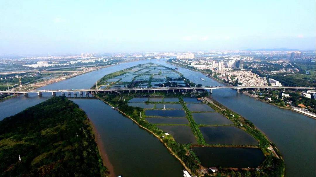 微信图片_20200521162958.jpg