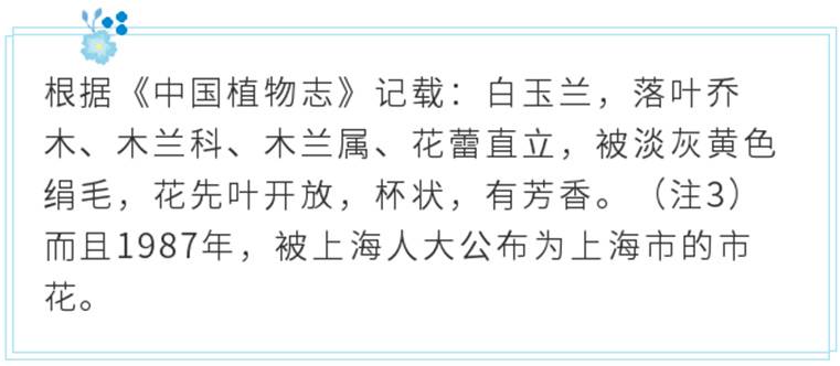 4397c20200309092151179213.jpg 白玉兰介绍.jpg