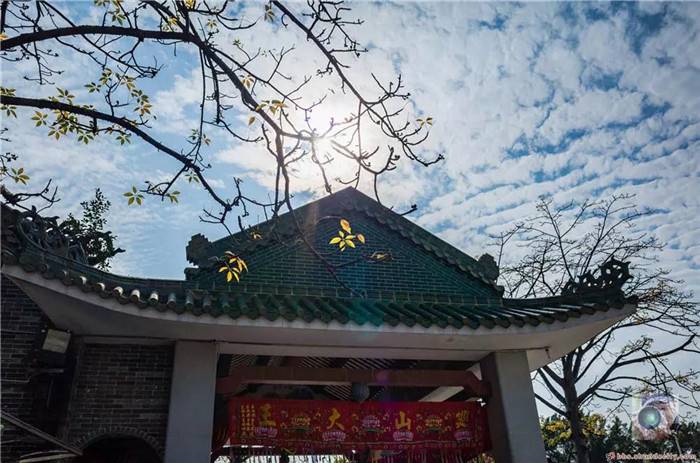 456e320200311092354585376.jpg 23.jpg