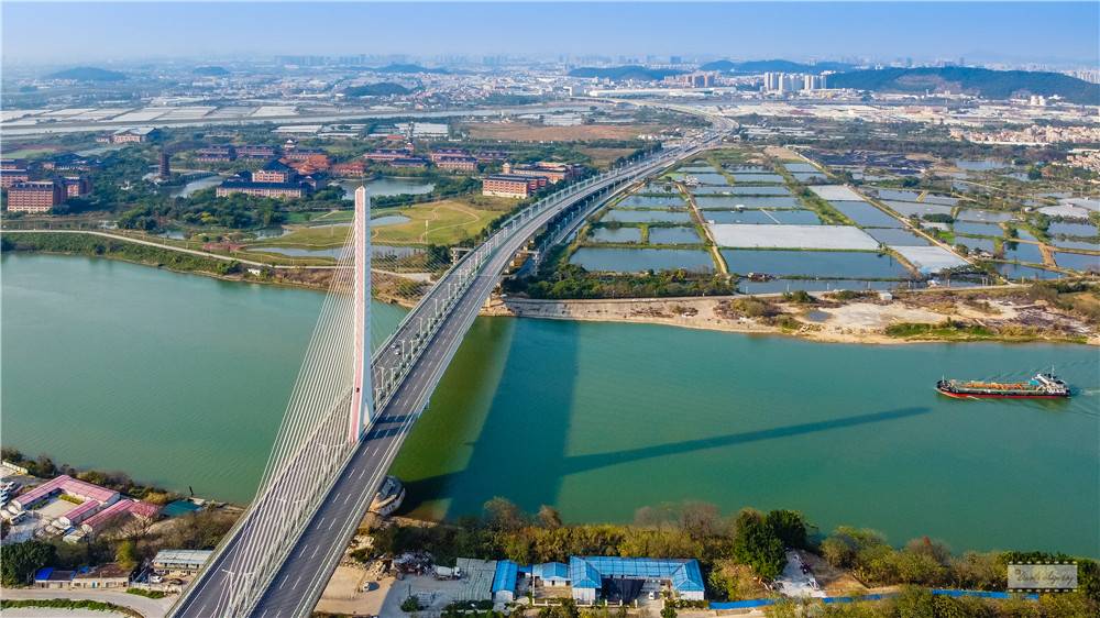 3,2020 倫桂特大橋一河兩岸（雕刻時光攝）.jpg