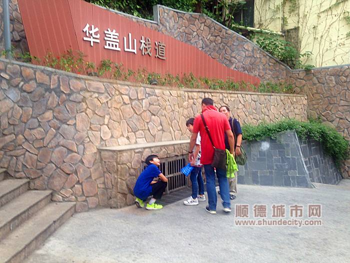 4aad920200428153136879958.jpg 9_700.jpg