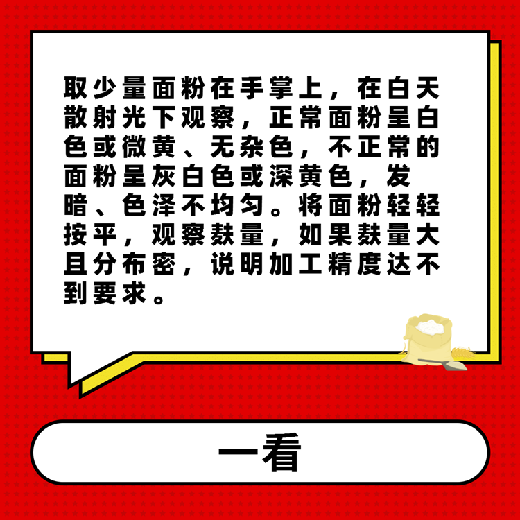 11.png