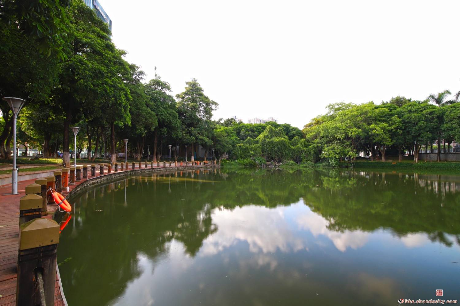 北滘公园,点缀在城市中的一片绿洲!