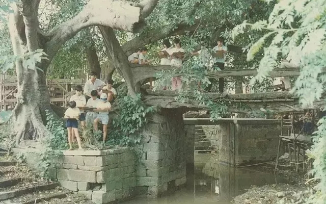 树生桥旧貌.jpg