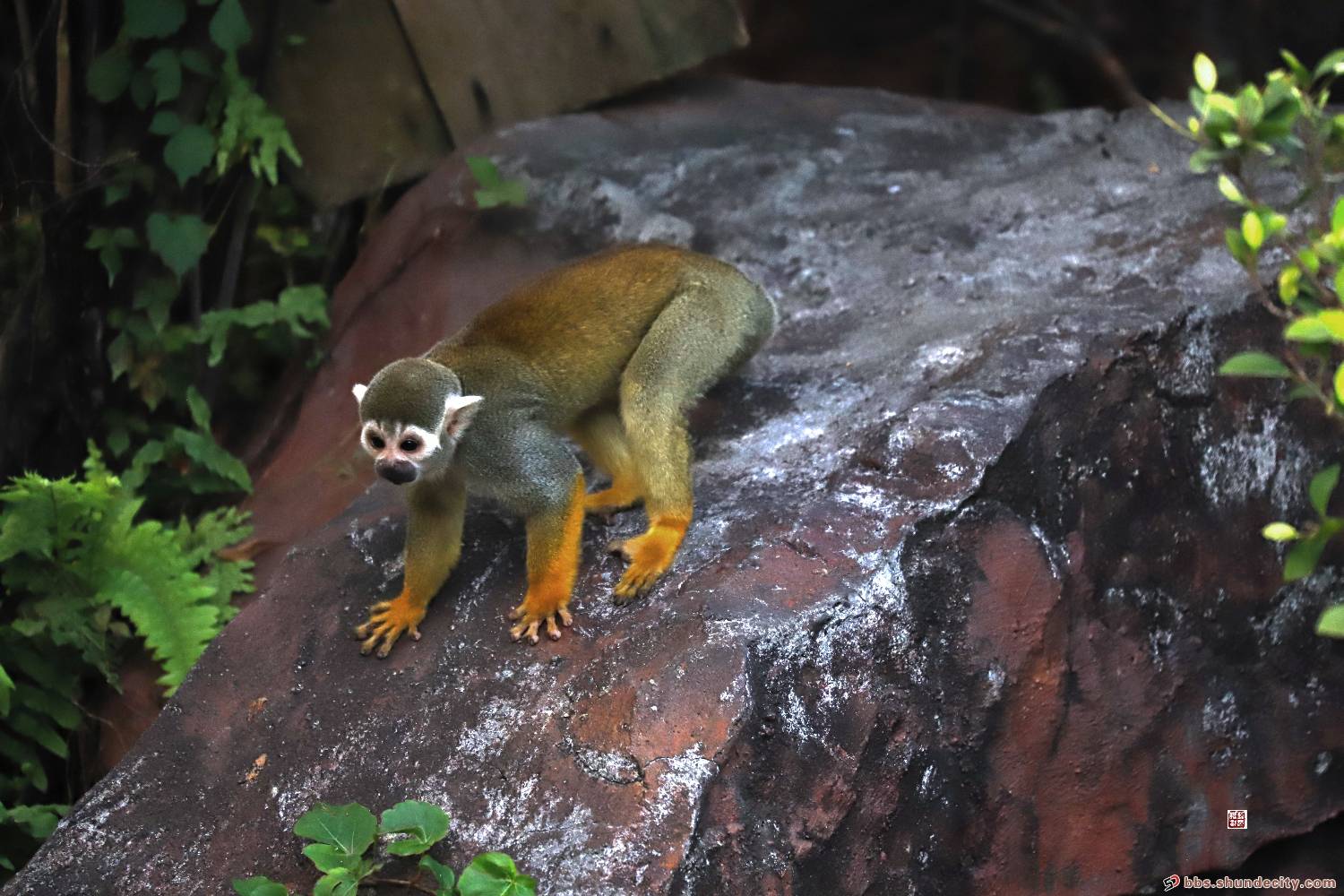 62caa20200922154317411688.jpg 2.jpg