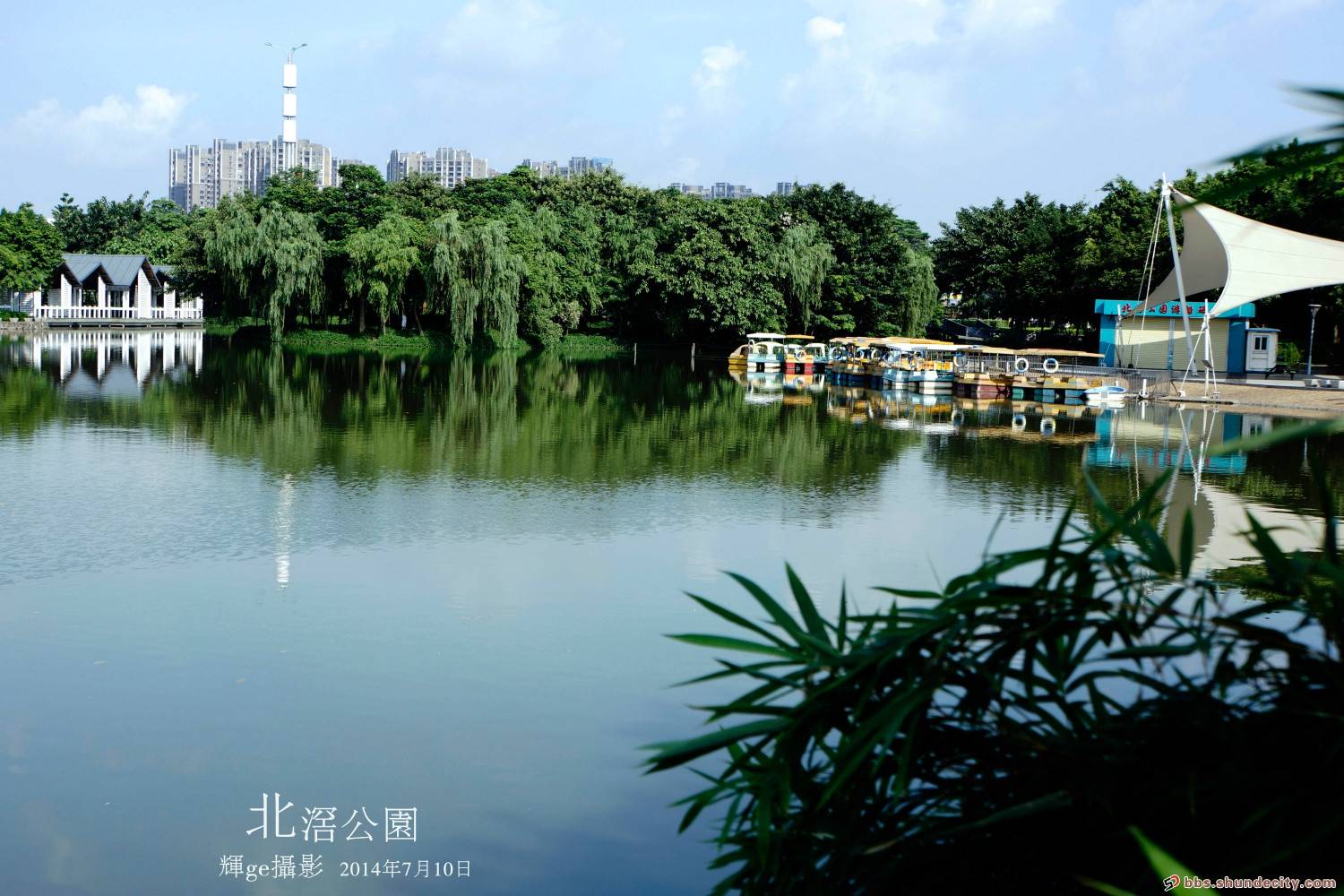 北滘公园,点缀在城市中的一片绿洲!