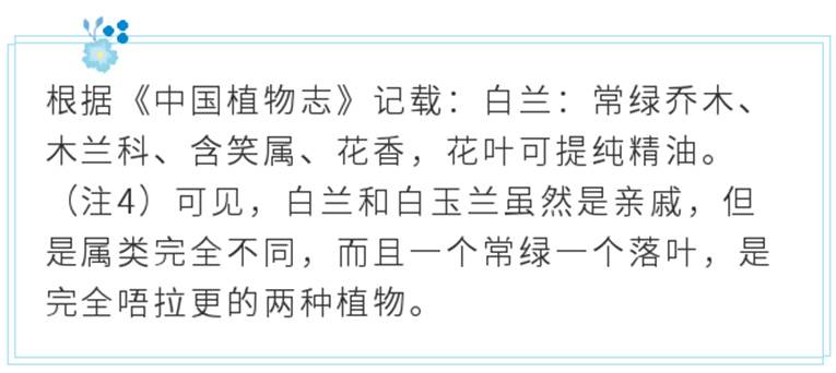 735fe20200309092412938561.jpg 白兰介绍.jpg