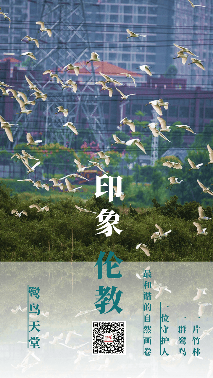 簡約風(fēng)你好八月圖文手機(jī)海報(bào)@凡科快圖.png