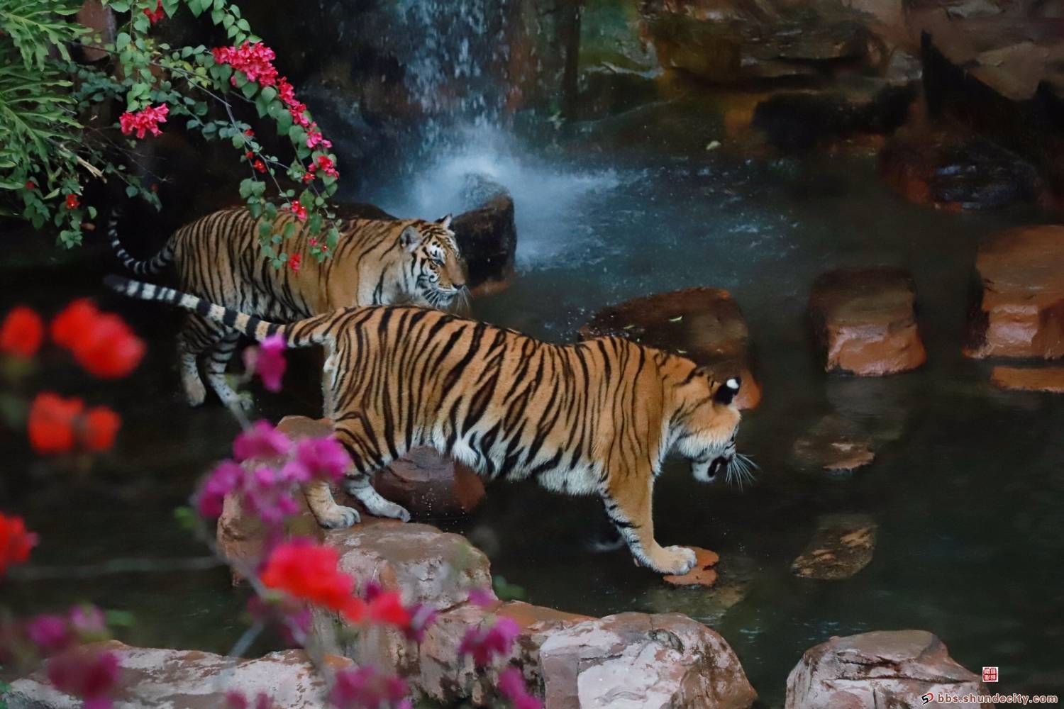 794ec20200922154410834921.jpg 3.jpeg