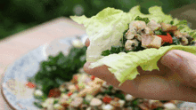 6.gif