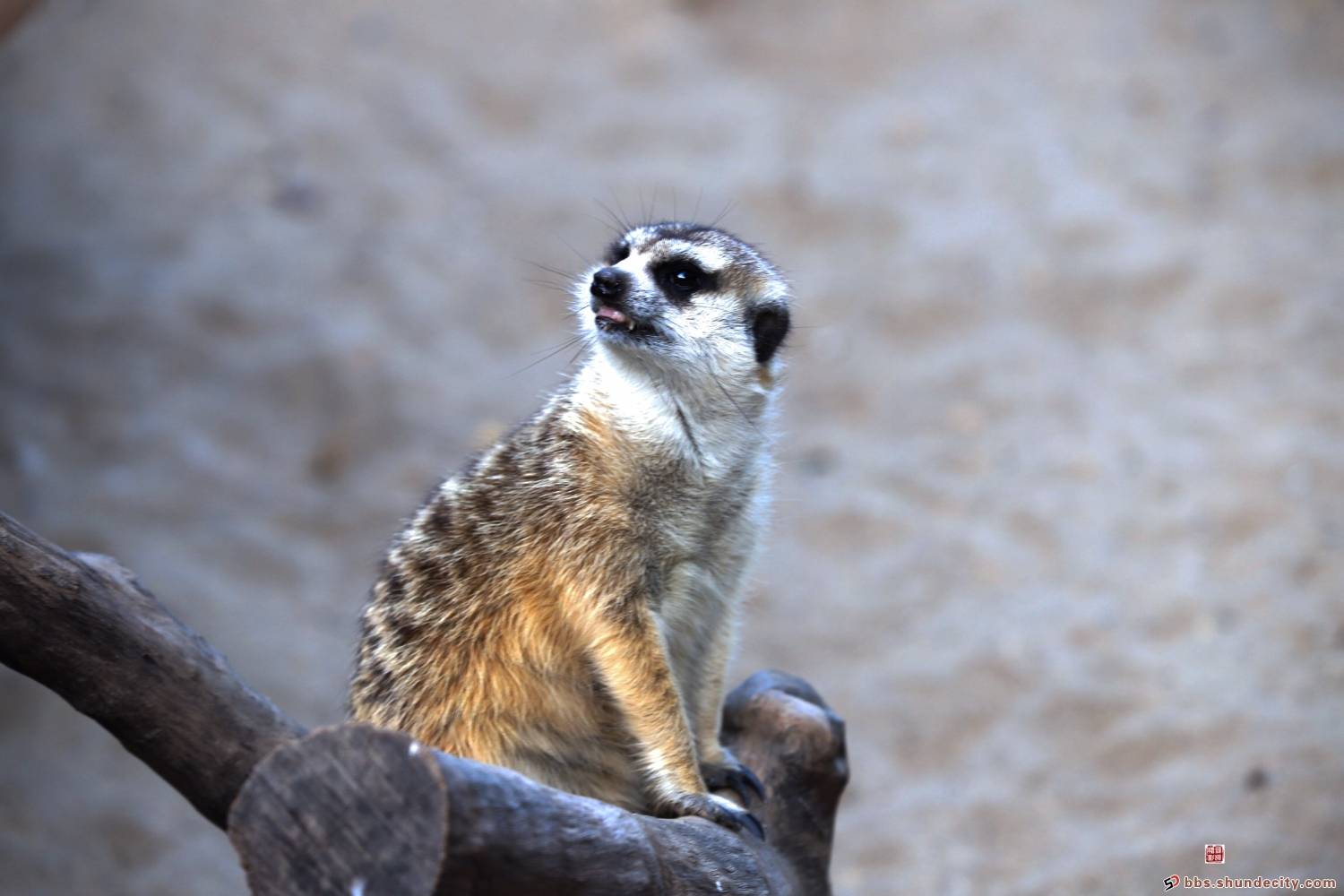 81d0720200922154344249655.jpg 4.jpeg