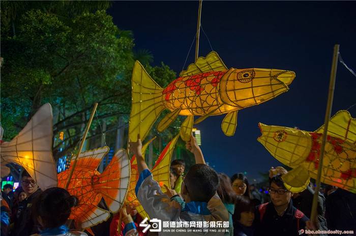 春滿鳳城元宵樂，魚燈巡游吸眼球。（順德城市網(wǎng)網(wǎng)友“田園牧歌”）.jpg