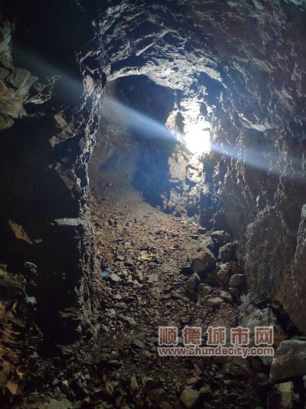 92a0f20200428153459455279.jpg 6_700.jpg