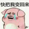 皮蛋