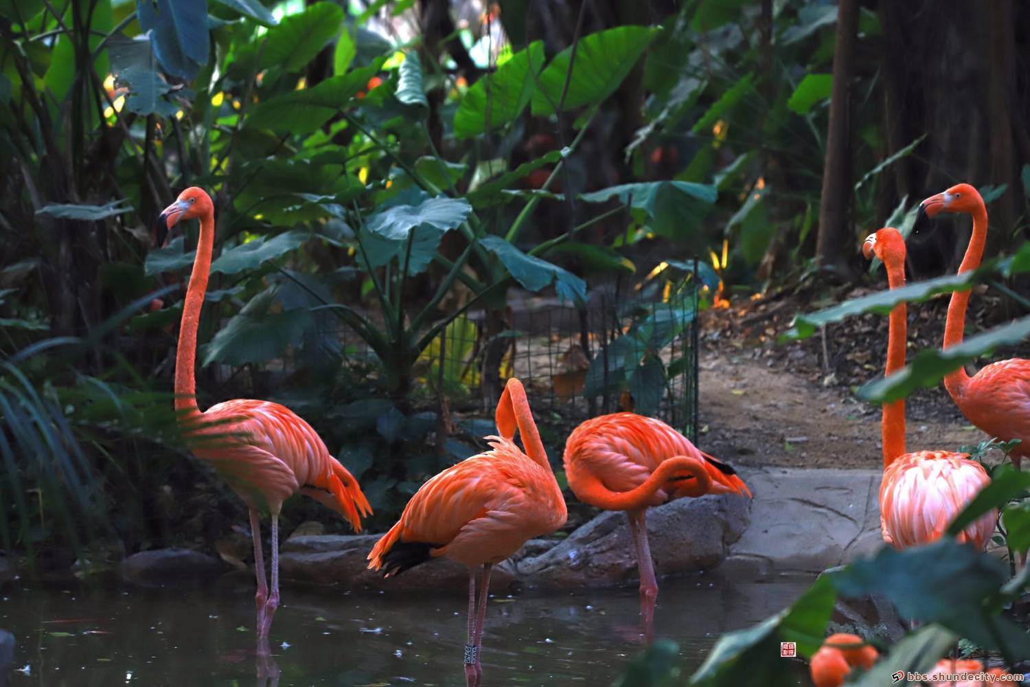 bf7282020092215433334824.jpg 1.jpeg