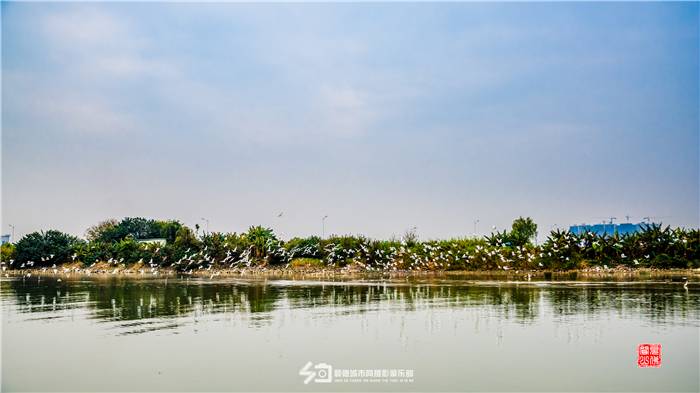 c73ac20200604224038603287.jpg 勒流勒北(顺德城市网摄影俱乐部“见佛闻山”摄) (2).jpg