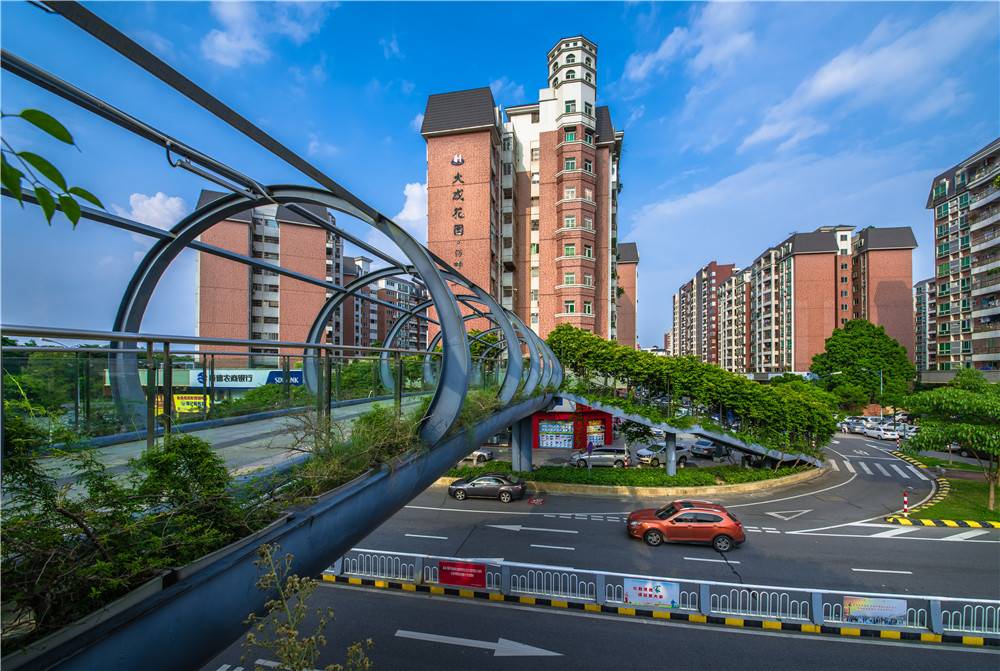 2018年：倫教新成路一帶  自由鳥.jpg