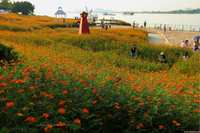 均安东海绿岛公园图片