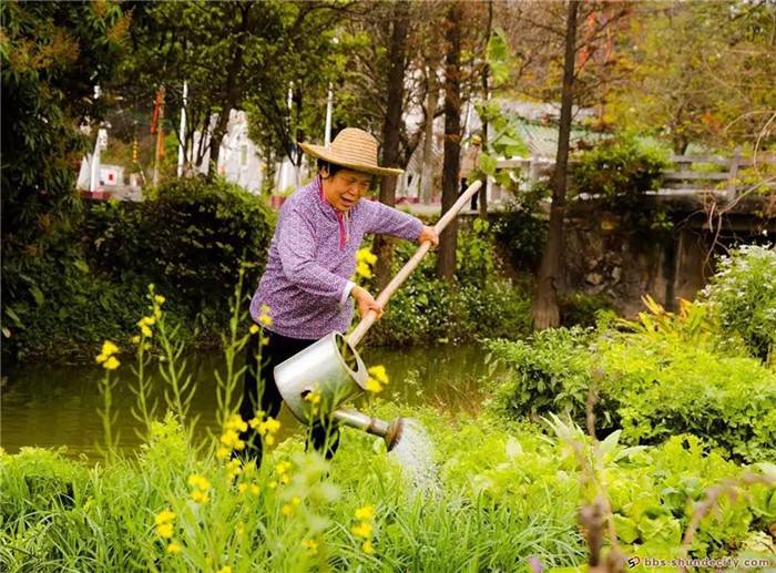 e04ba20200311092159727714.jpg 10.jpg