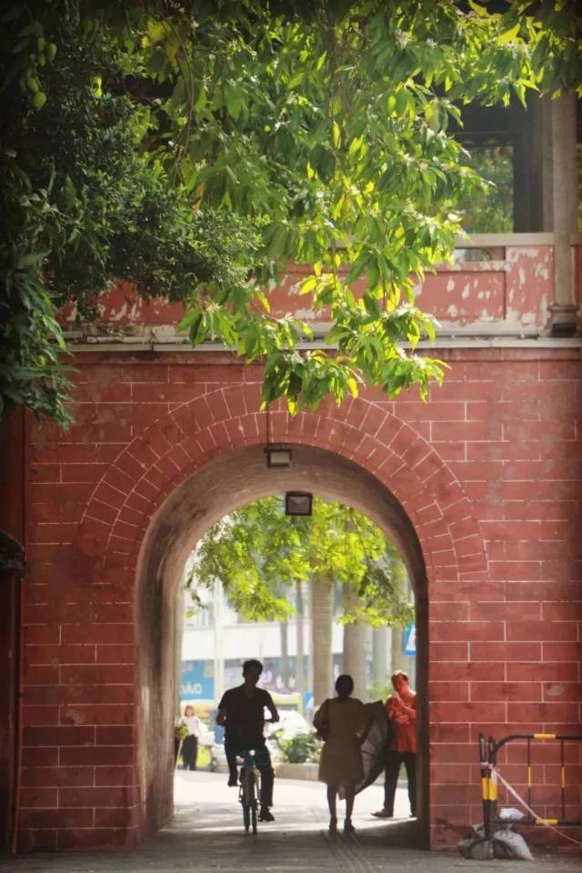 e3c0020200309092449323279.jpg 6.钟楼公园里的白兰花.jpg