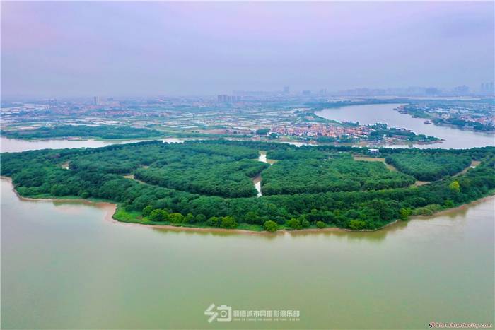 f43df20200604224058965168.jpg 1 grady.jpg