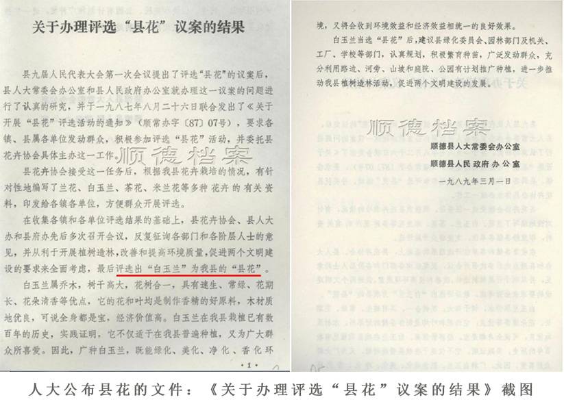 f5cc7202003090920532453.jpg 人大公布县花的文件:《关于办理评选“县花”议案的结果》截图.jpg