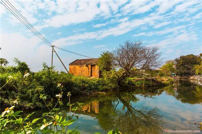 fee6e20200311092105258717.jpg 3.jpg