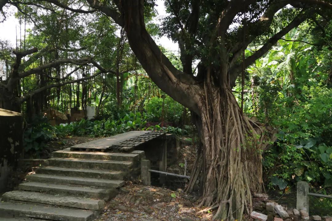 shundeplus/images/article/2020/10/26/38fef20201026090058298150.jpg 1.jpg