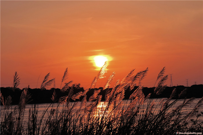 4bd5a20201108093259254053.jpg