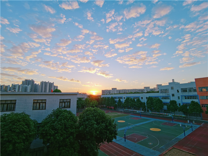 晨曦中的大晚小学2.jpg
