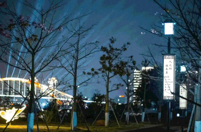 5.gif