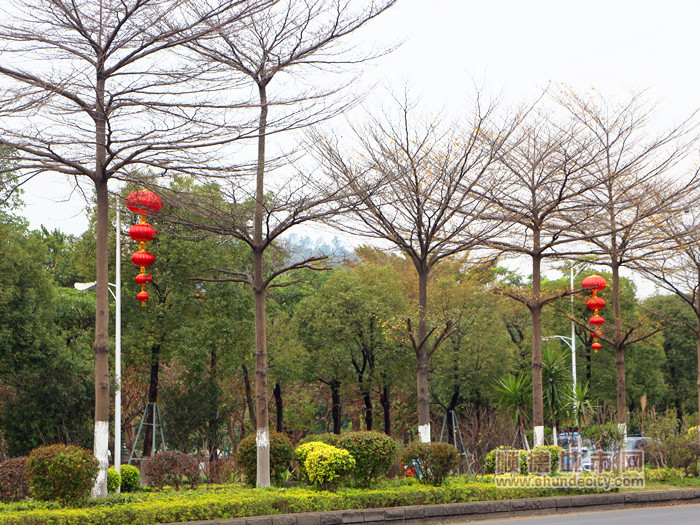 观绿路2_副本.jpg