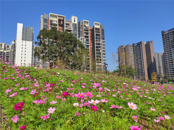 水文化街花海 (1).jpg