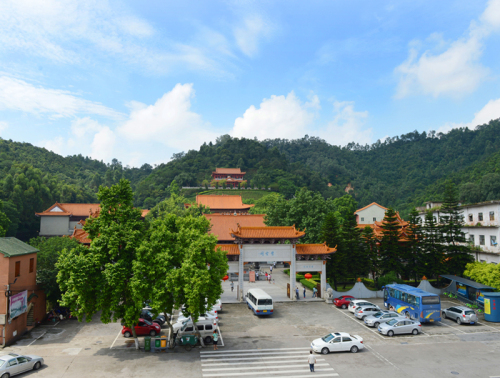 顺德年镇街魅龙江适合拍拍拍的地方分分钟出大片