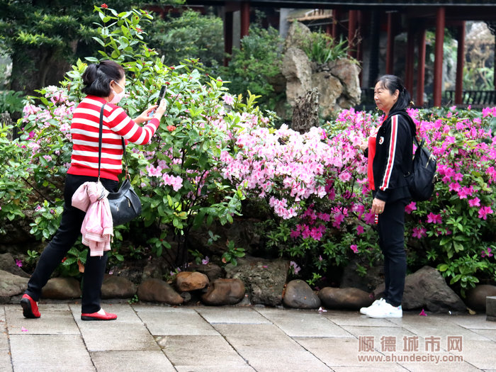 趁春花烂漫，与春天合影留念.JPG