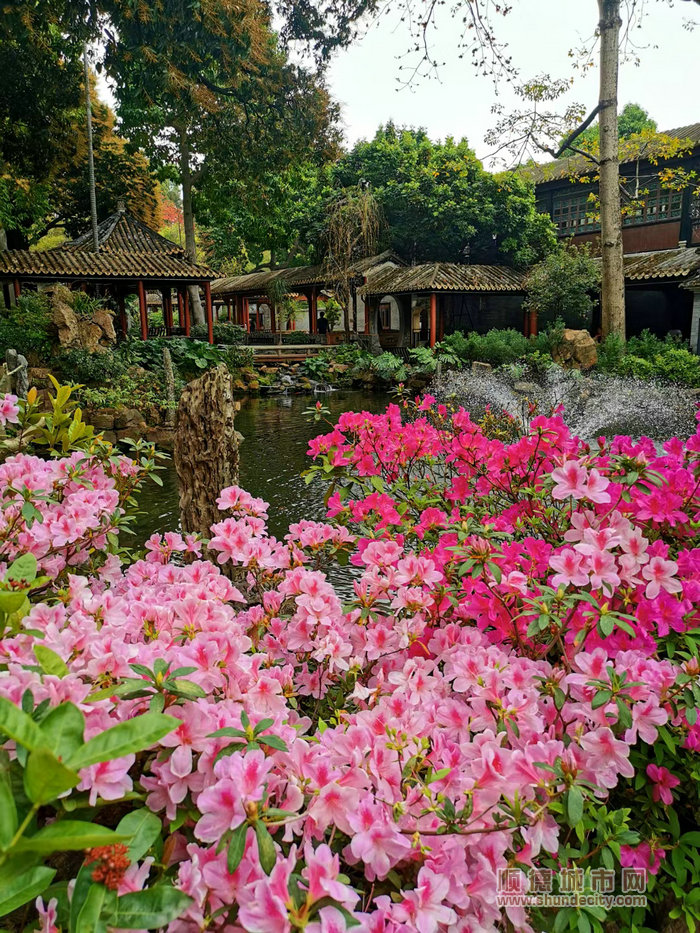 春季限定，来清晖园饱赏花开烂漫的园林景色.jpg