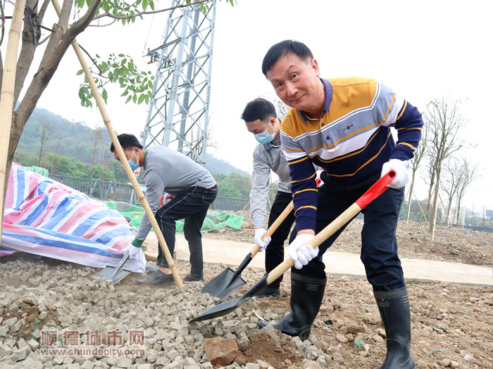 拿起铁锹为树木培土。.jpg